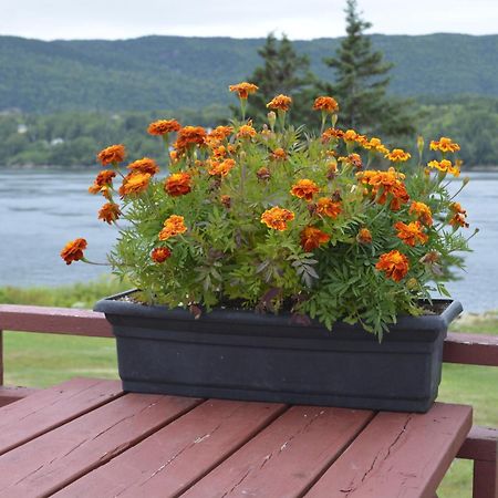 Mountain Vista Seaside Cottages Big Bras d'Or Zimmer foto